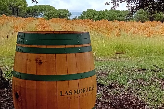 Madrid Wine Tour: Visit Two Wineries with Tastings - Practical Details: Meeting, Pacing, and Group Size