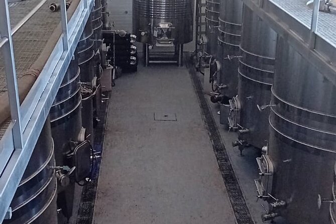 Madrid Wine Tour: Visit Two Wineries with Tastings - Why This Tour Excels for Wine Enthusiasts