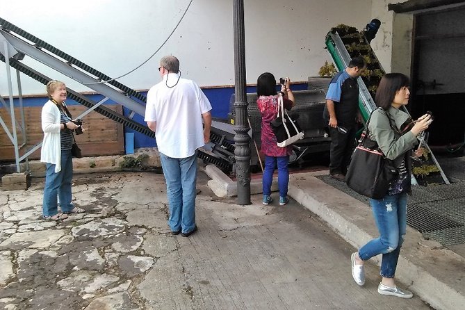 Madrid Wineries Private Tour with Hotel Pickup and Lunch - Exploring Two Unique Wineries Near Madrid