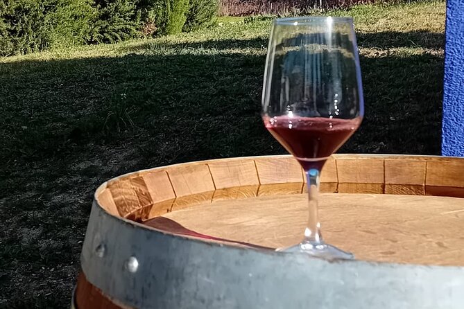 Madrid Winery Tour with Tasting & Sommelier Guide - The Tour Starts in the Heart of Madrid