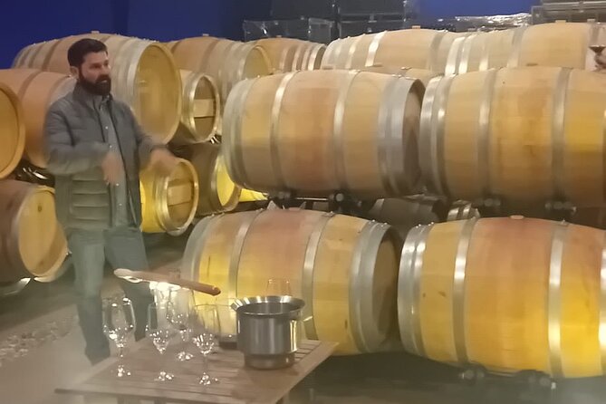 Madrid Winery Tour with Tasting & Sommelier Guide - Logistics: Easy Pickup and Small Group Dynamics