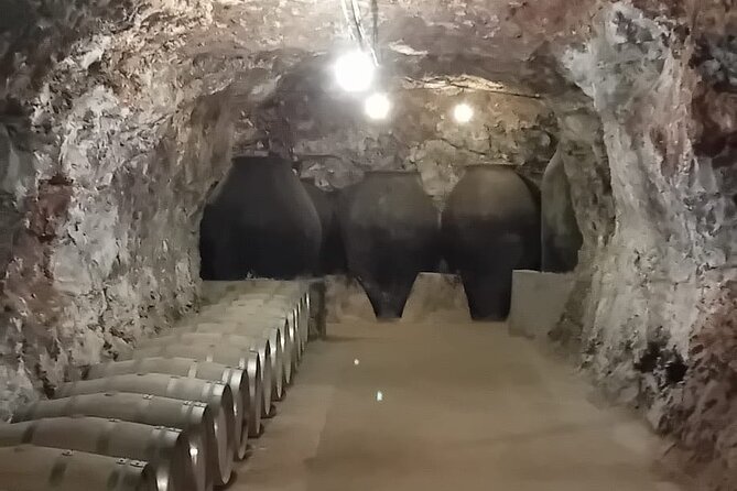 Madrid Winery Tour with Tasting & Sommelier Guide - Cancellation Policy and Flexibility