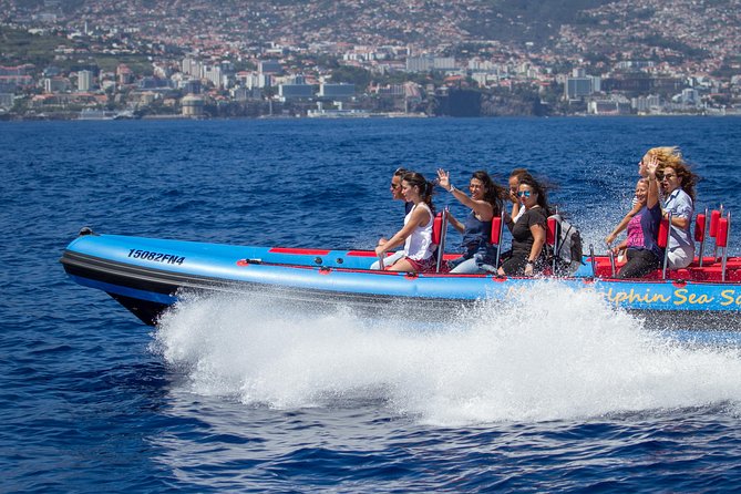 Magic Dolphin Sea Safaris - Discover the Magic of Dolphin Sea Safaris in Madeira