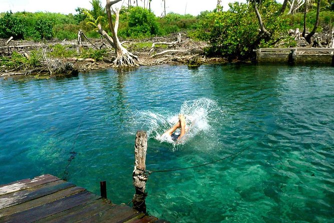 Magic Island Holbox! Experience From Cancun & Playa del Carmen - Exploring Isla de la Pasión’s Mangroves