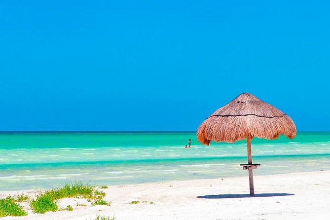 Magic Island Holbox! Experience From Cancun & Playa del Carmen - Free Time and Beach Relaxation on Isla Holbox