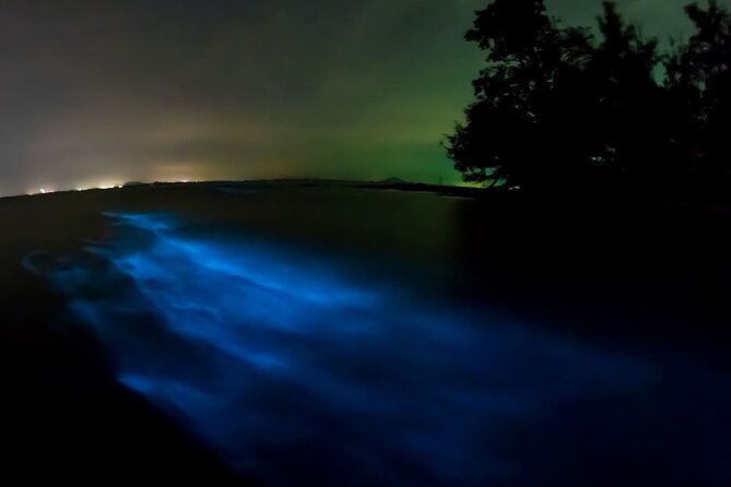 Magic Night in the Lagoon of Manialtepec Bioluminescence - Key Points