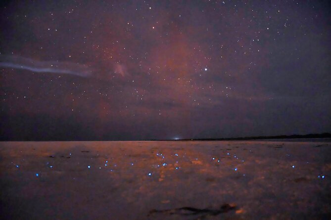 Magic Night of Stargazing and Bioluminescence - Discover the Magic of Isla Holboxs Night Sky and Bioluminescent Waters
