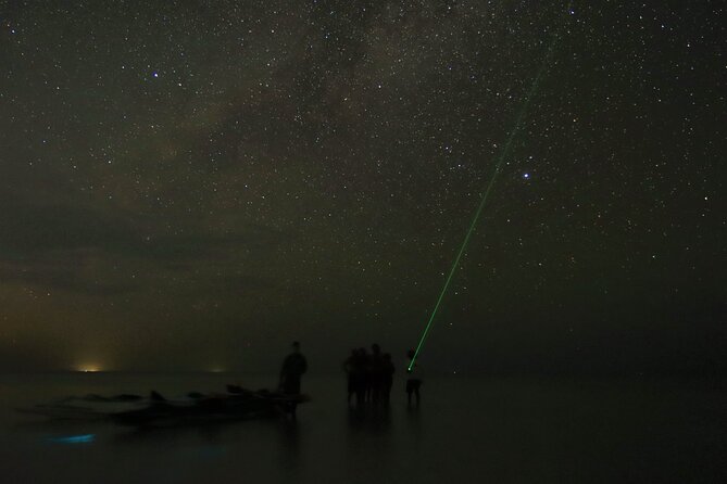 Magic Night of Stargazing and Bioluminescence - Key Points