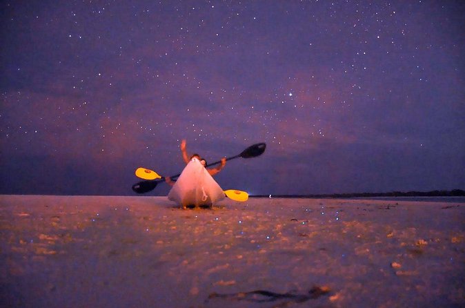 Magic Night of Stargazing and Bioluminescence - The Guides and Their Role During the Tour