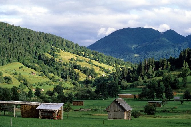 Magic of Alps, Triglav NP with Lake Bohinj & Waterfall Savica, HD Trip from Ljub - Exploring Slovenia’s Alpine Treasures in a Half-Day Tour