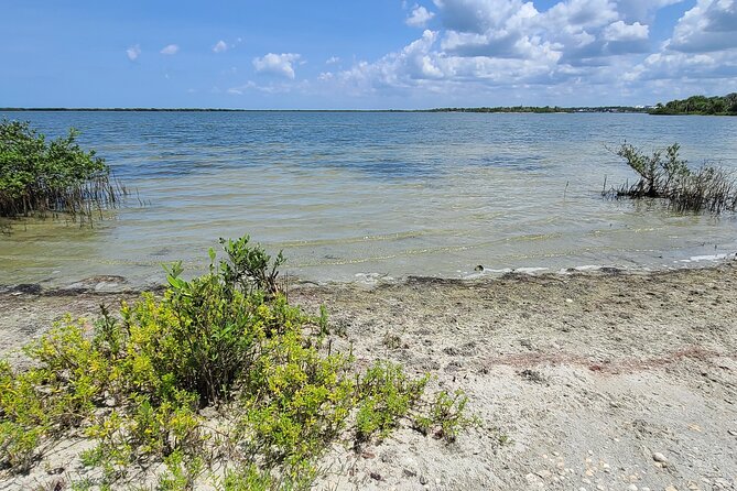 Magic of Nature Guided Kayak Eco Tour - Explore Florida’s Mangrove Ecosystem with a Guided Kayak Tour for $45