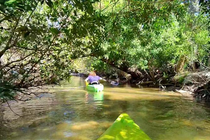 Magic of Nature Guided Kayak Eco Tour - Key Points
