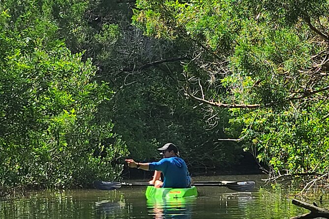 Magic of Nature Guided Kayak Eco Tour - Wildlife Encounters and Ecological Education