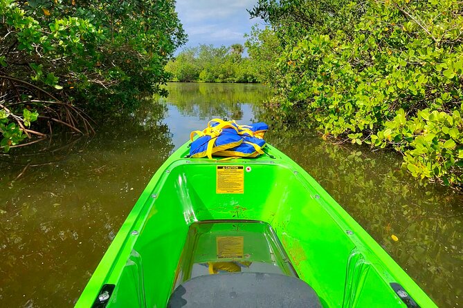 Magic of Nature Guided Kayak Eco Tour - Practical Tips for a Smooth Kayaking Experience