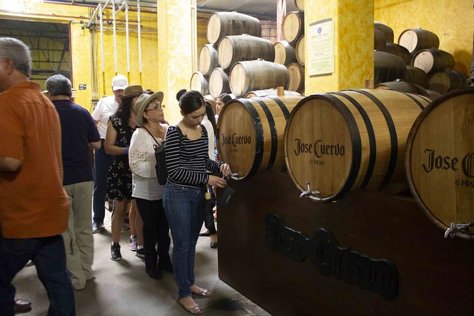 Magic Town Tequila and Agave Fields - Visiting the Agave Fields: Mexico’s Natural Heritage