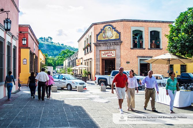 Magic Town Tequila and Agave Fields - Comparing This Tour to Similar Experiences
