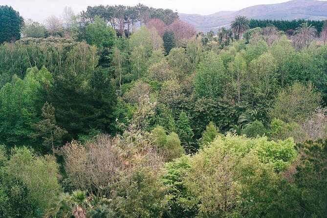 Magical and Exclusive Private Visit to the Fonte Baxa Garden, Luarca - The Fonte Baxa Garden Private Tour’s Final Appeal