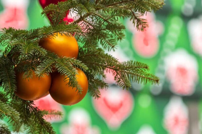 Magical Christmas Markets and Bites Walking Tour in Budapest - Starting Point at the Kempinski Hotel Near Elizabeth Square