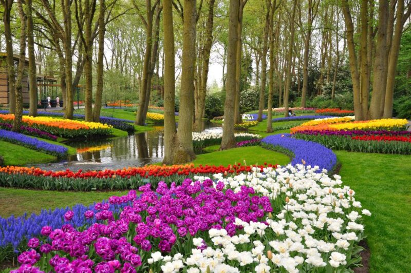 Magical Delft and the Keukenhof Estate: Tulips Galore - Flexibility and Reservation Details