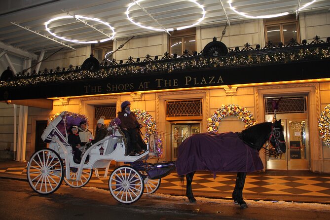 Magical Evening Horse-Drawn Carriage through NYC (65 min) - Is This Experience Worth the Price?