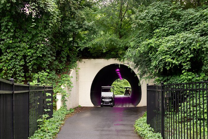 Magical Golf Cart Tour Through Peachtree City Trails - Key Points