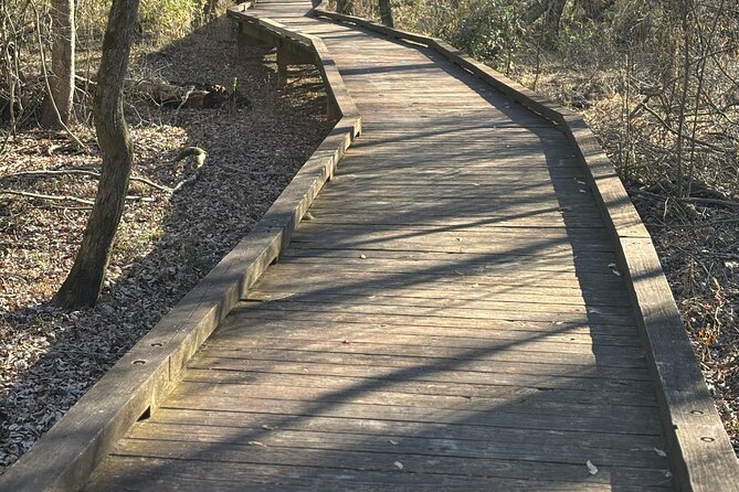 Magical Golf Cart Tour Through Peachtree City Trails - Scenic Drives Past Lake McIntosh and Planterra Ridge Golf Course