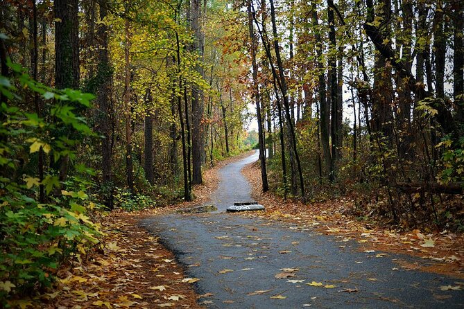Magical Golf Cart Tour Through Peachtree City Trails - Practical Details and Booking Information