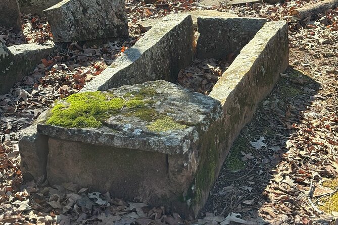 Magical Golf Cart Tour Through Peachtree City Trails - Why Choose This Peachtree City Golf Cart Tour?