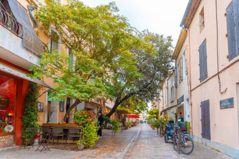 Magical Private Excursion to Aigues-Mortes and the Incredible Camargue - Taking in the Camargue’s Natural Landscape