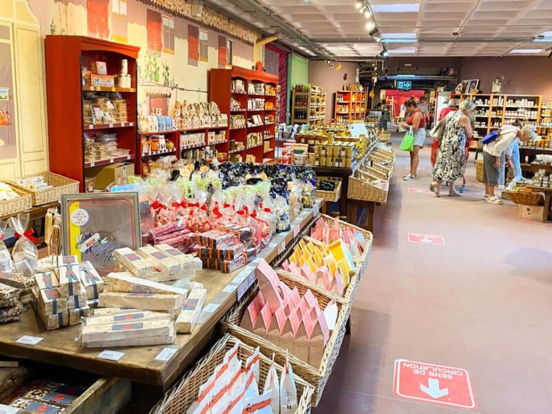 Magical Private Excursion to Aigues-Mortes and the Incredible Camargue - Who Will Appreciate This Tour Most?