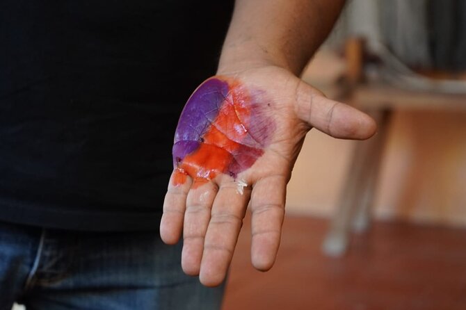 Magical Route Oaxaca Tule, Mitla, Boil Water and Mezcal - Whats Included and What’s Not