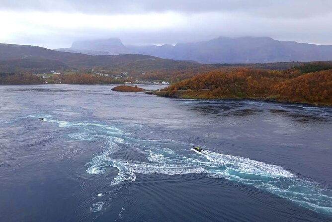 Magical Saltstraumen Tour - Who Should Consider This Tour