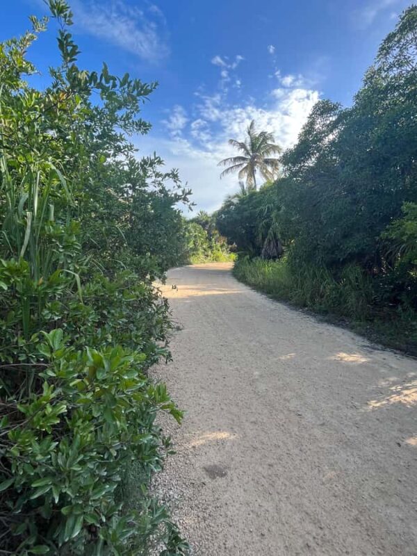 Magical Sunset at Sian Ka'an Biosphere, 3 hours boat tour - How the Tour Starts in Tulum and Transports You to Sian Kaan