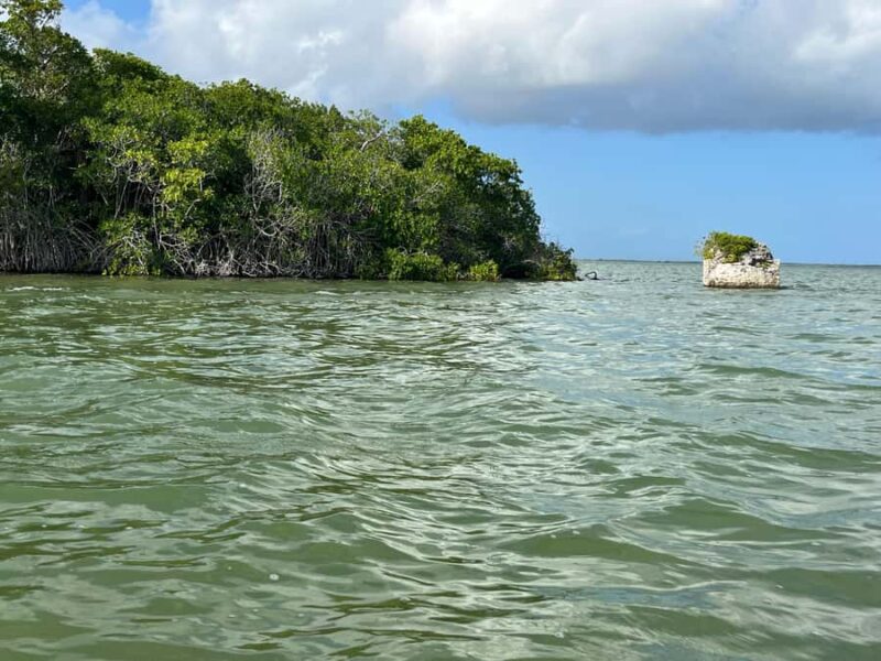 Magical Sunset at Sian Ka'an Biosphere, 3 hours boat tour - Virgen Beach and Its Incredible Picnic Experience