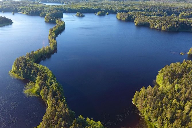 Magical Taiga Forest Hike with Lunch and Transportation - Lakeside Finnish-Style Lunch and Foraging Opportunities