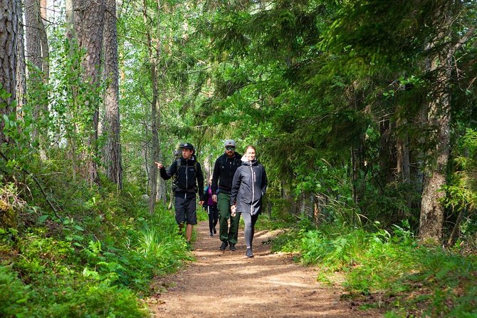 Magical Taiga Forest Hike with Lunch and Transportation - Ideal Participants and Considerations