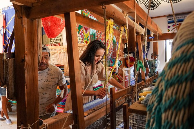 Magical Todos Santos Tour, Camel ranch, Lunch & Tequila - Key Points