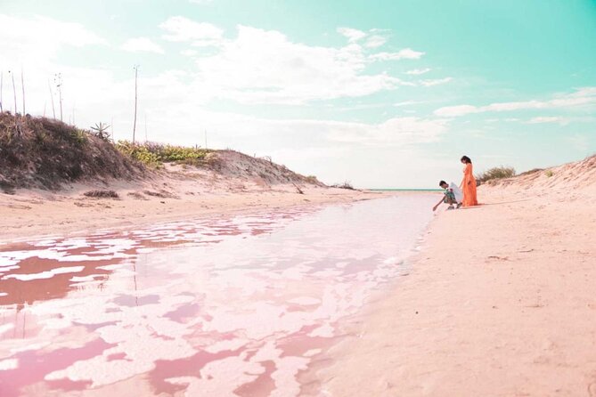 Magical Tour Las Coloradas Natural Pink Lagoon from Riviera Maya - Key Points