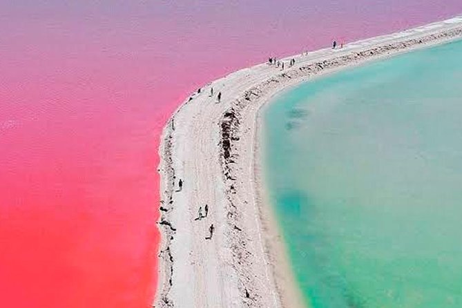 Magical Tour Las Coloradas Natural Pink Lagoon from Riviera Maya - Savoring Local Cuisine and Seafood Delights