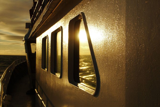 Magical Whales in the Midnight Sun | from Reykjavik - The Sum Up: An Enchanting Night at Sea in Iceland