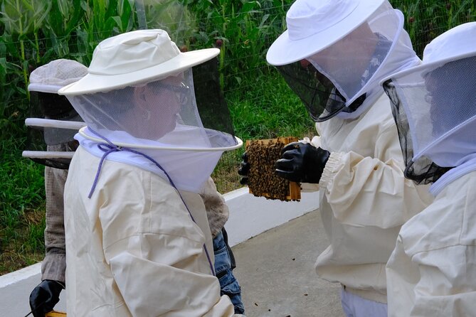 Magical World of Beekeeping on São Miguel Azores Private Tour - Visiting the Beekeeping Farm in Várzea