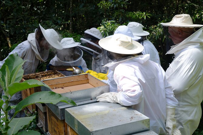 Magical World of Beekeeping on São Miguel Azores Private Tour - Creating Your Own Beeswax Candle