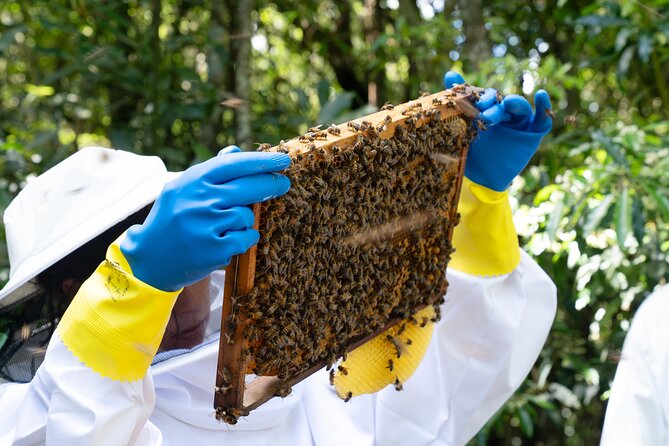 Magical World of Beekeeping on São Miguel Azores Private Tour - Safety Equipment and Practical Tips