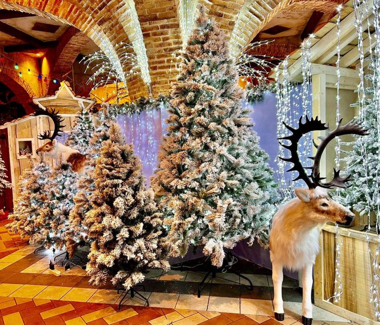 Magicland Amusement Park : Magic Christmas Entry Ticket - Key Points