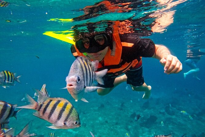 Magnificent Exploration to El Cielo Palancar and Columbia Reefs - El Cielo: Floating in a Starfish Sanctuary