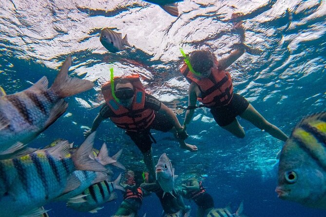 Magnificent Exploration to El Cielo Palancar and Columbia Reefs - Practical Considerations and Additional Fees