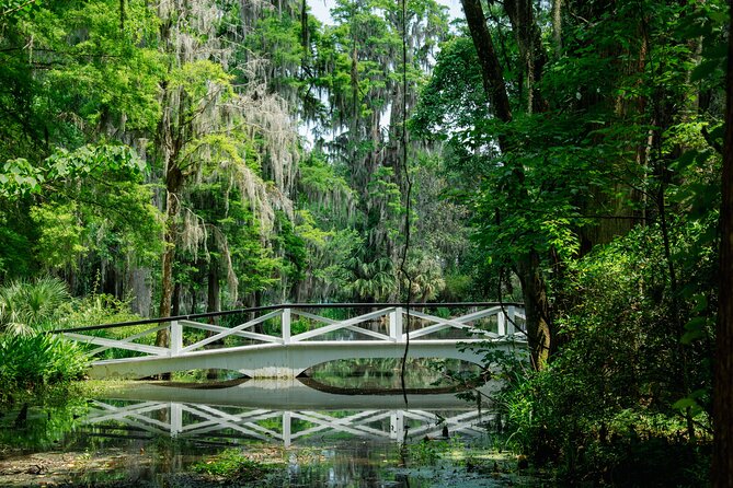 Magnolia Plantation Tour with transportation PLUS City Bus Tour - The 90-Minute Charleston City Bus Tour with Adventure Sightseeing