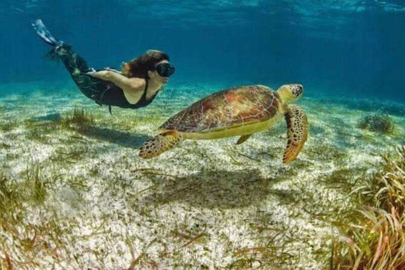 Mahahual: Costa Maya Snorkeling Adventure by Boat - Exploring the Vibrant Coral Reefs and Marine Life
