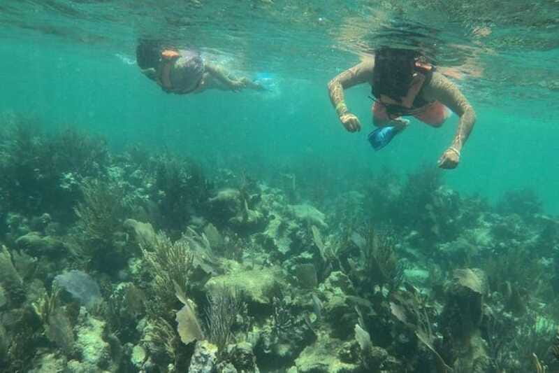 Mahahual: Costa Maya Snorkeling Adventure by Boat - Weather Dependence and Cancellation Policy
