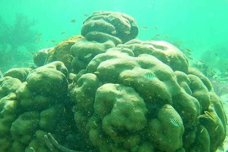 Mahahual: Costa Maya Snorkeling Adventure by Boat - Concluding the Mahahual: Costa Maya Snorkeling Adventure by Boat